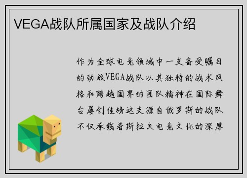 VEGA战队所属国家及战队介绍